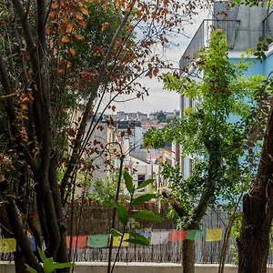 Casa de hóspedes Lost :: Avenida House